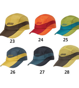 고급레저 디스챙모