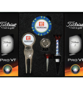타이틀리스트 Pro V1 골프용품세트(실버)